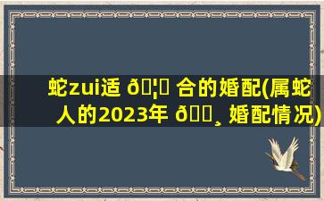 蛇zui
适 🦟 合的婚配(属蛇人的2023年 🕸 婚配情况)